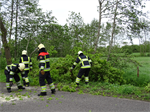 Prio 2 Stormschade Heerenweg Sumar